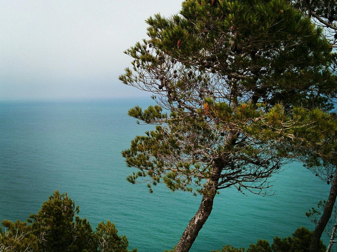 La Franqui Beach景点图片