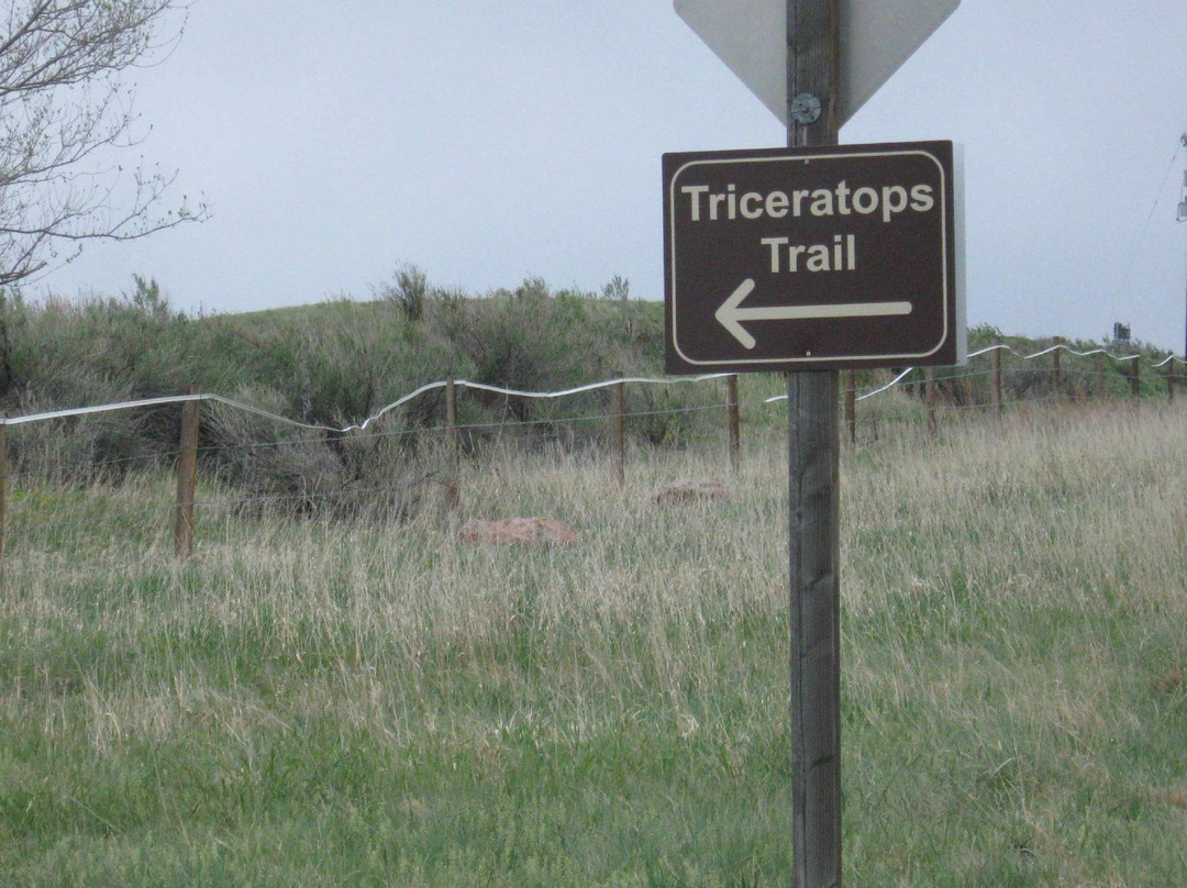 Triceratops Trail-戈尔登必去景点