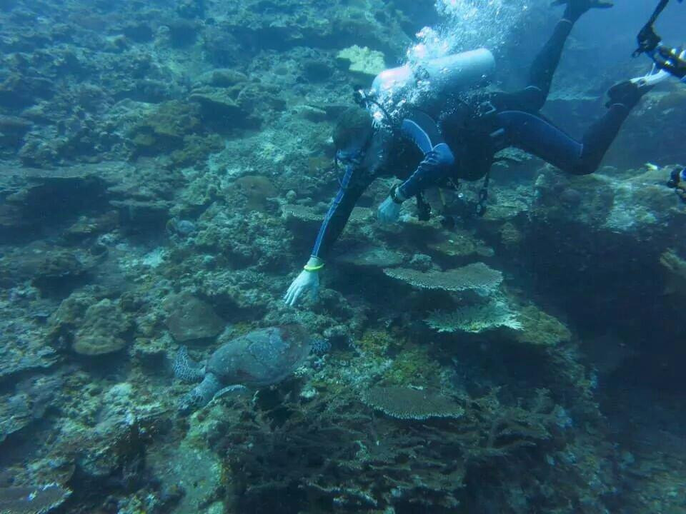 Tioman Reef Divers-刁曼岛必去景点