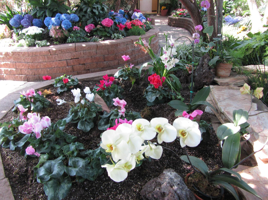 Regina Floral Conservatory-里贾纳必去景点