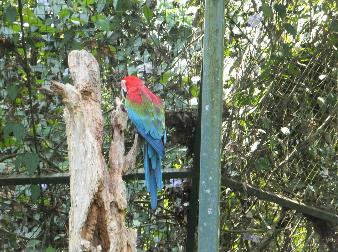 洛高宜野生动物园-兵南邦必去景点