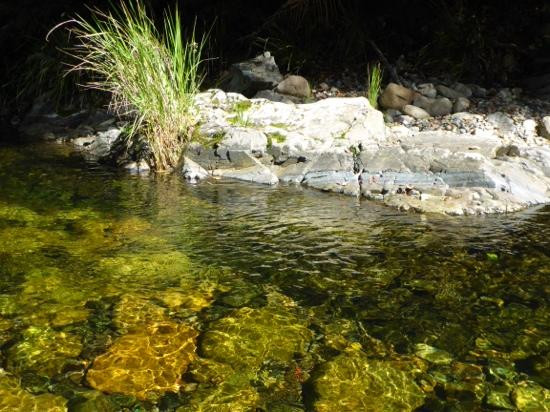 Waterfall Walk-Wauchope必去景点