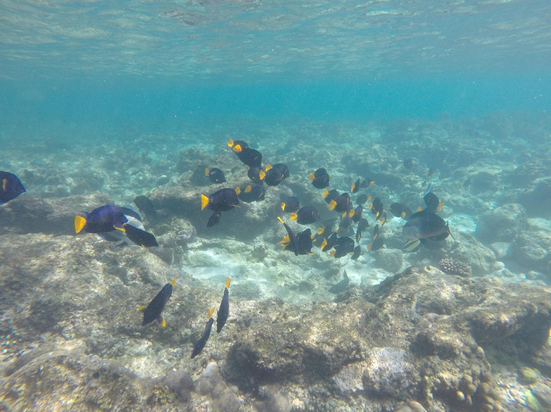 Dihamri Marine Protected Area景点图片