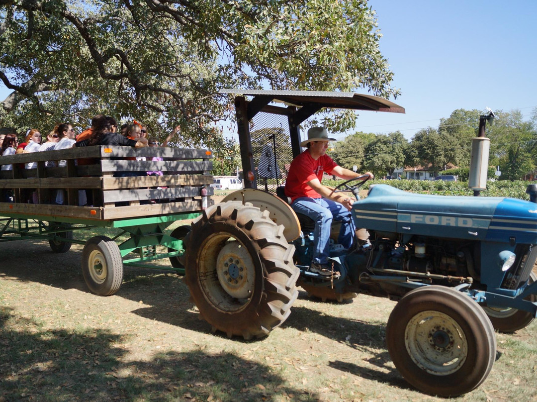 Nash Farm-葡萄藤必去景点