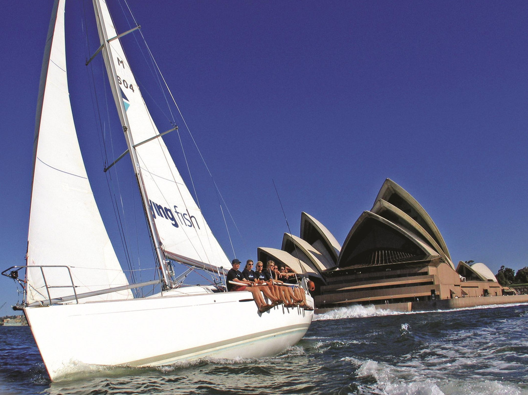 Flying Fish Sailing-莫斯曼必去景点