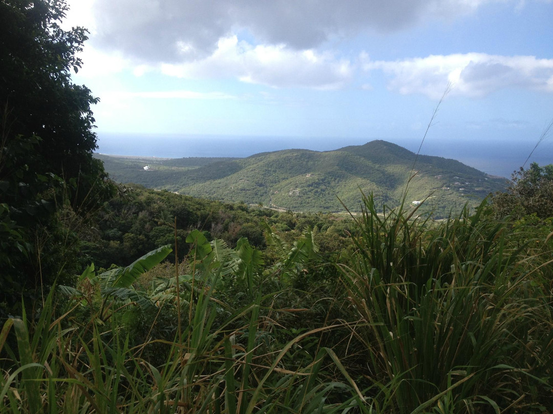 Cot Trail-蒙特塞拉特必去景点