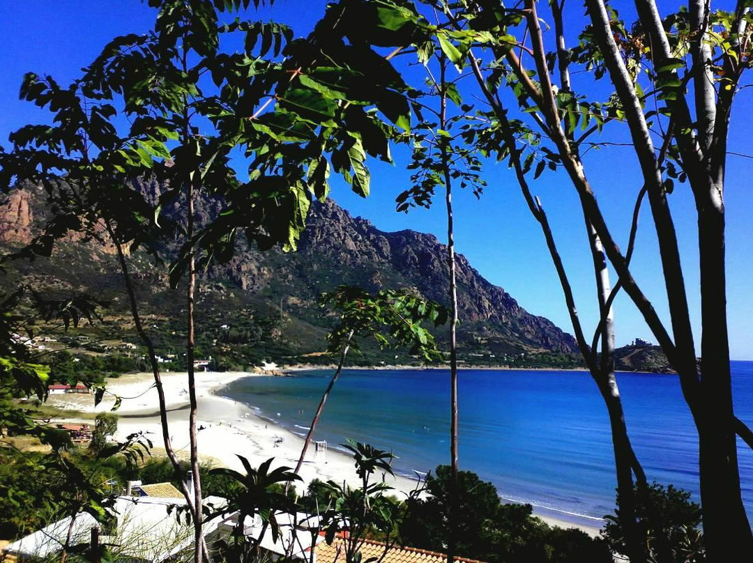 Camping Tesonis Beach
