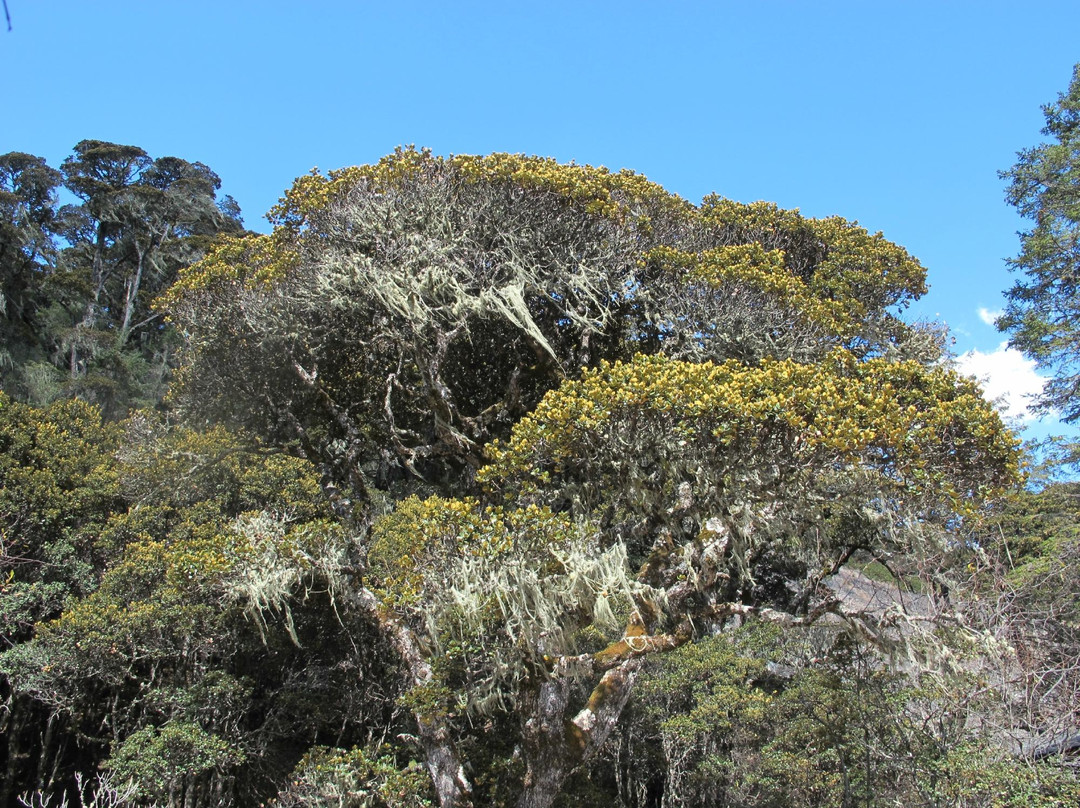 碧塔海自然保护区-香格里拉县必去景点