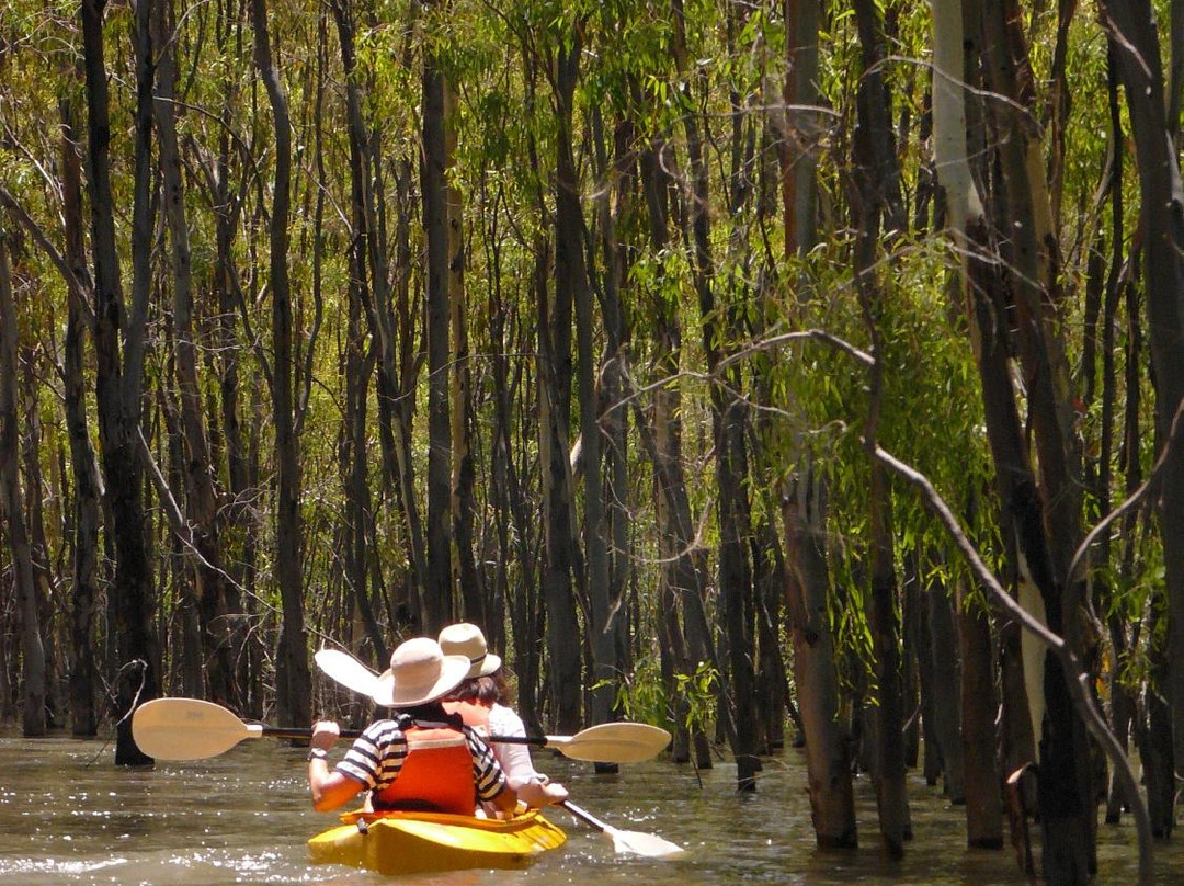 Wild Side Outdoors-Red Cliffs必去景点