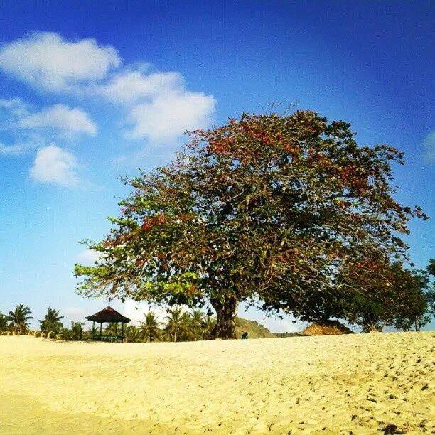 Mawun Beach-龙目岛必去景点