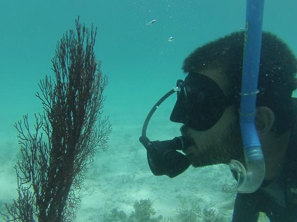 热带研究与保护中心-仙本那必去景点