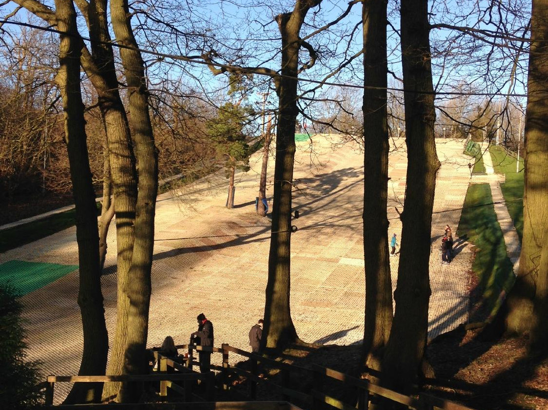 Brentwood Park Ski & Snowboard Centre景点图片
