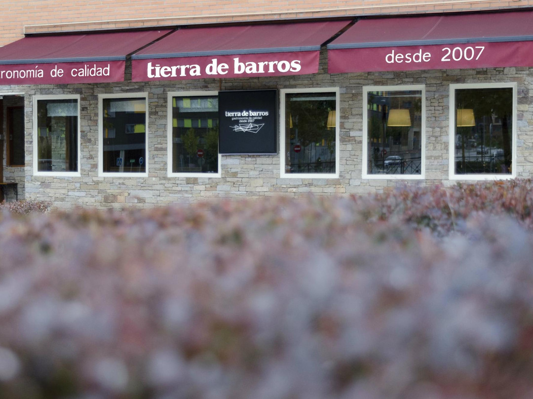 Tierra de Barros