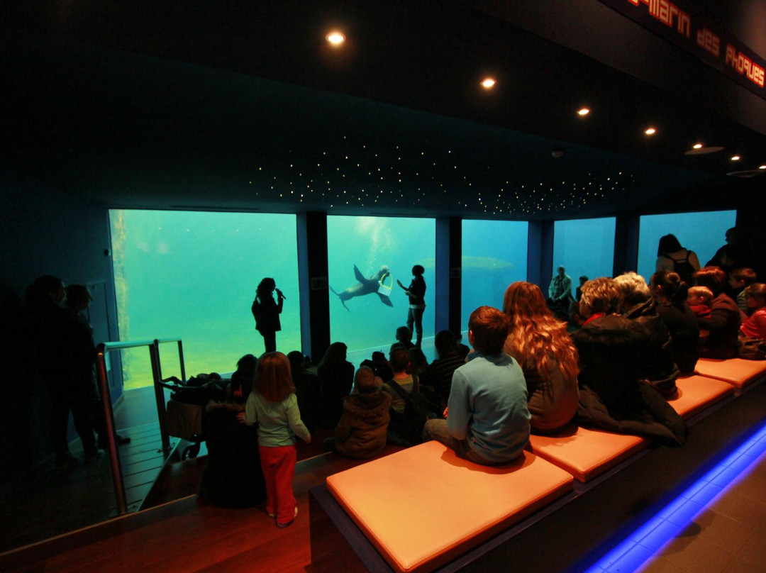 勒格罗迪鲁瓦旅游景点-Seaquarium Institut Marin