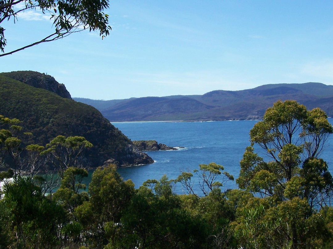 Bruny Island Safaris-霍巴特必去景点