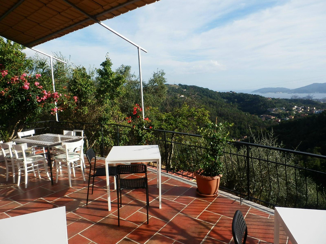 Valeriano Lunense餐馆和美食-L'Oliva Azzurra