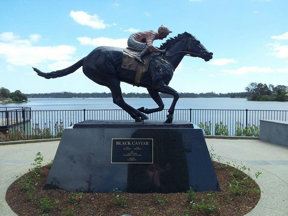 Black Caviar Statue-Nagambie必去景点