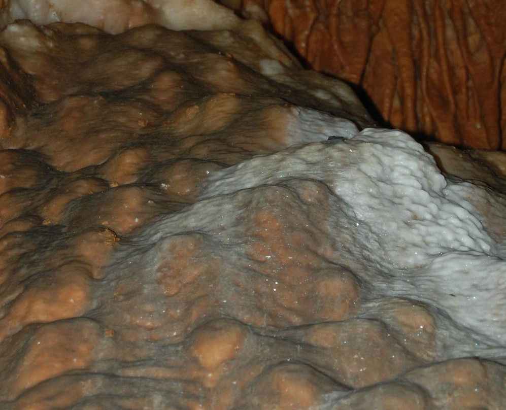 Grottoes and Grand Caverns-Grottoes必去景点