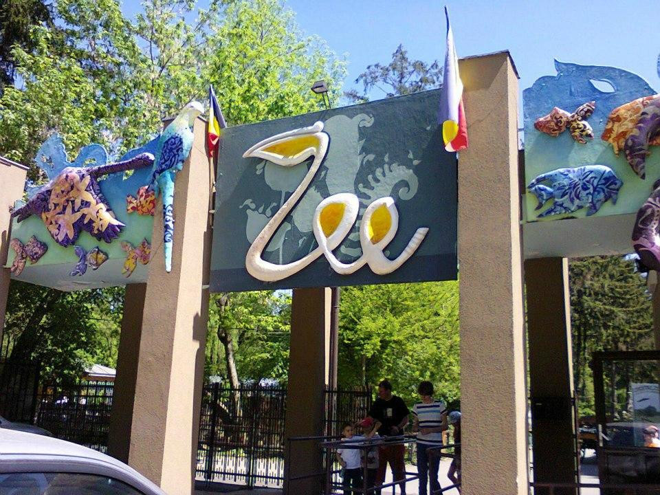 Bucharest Zoo景点图片