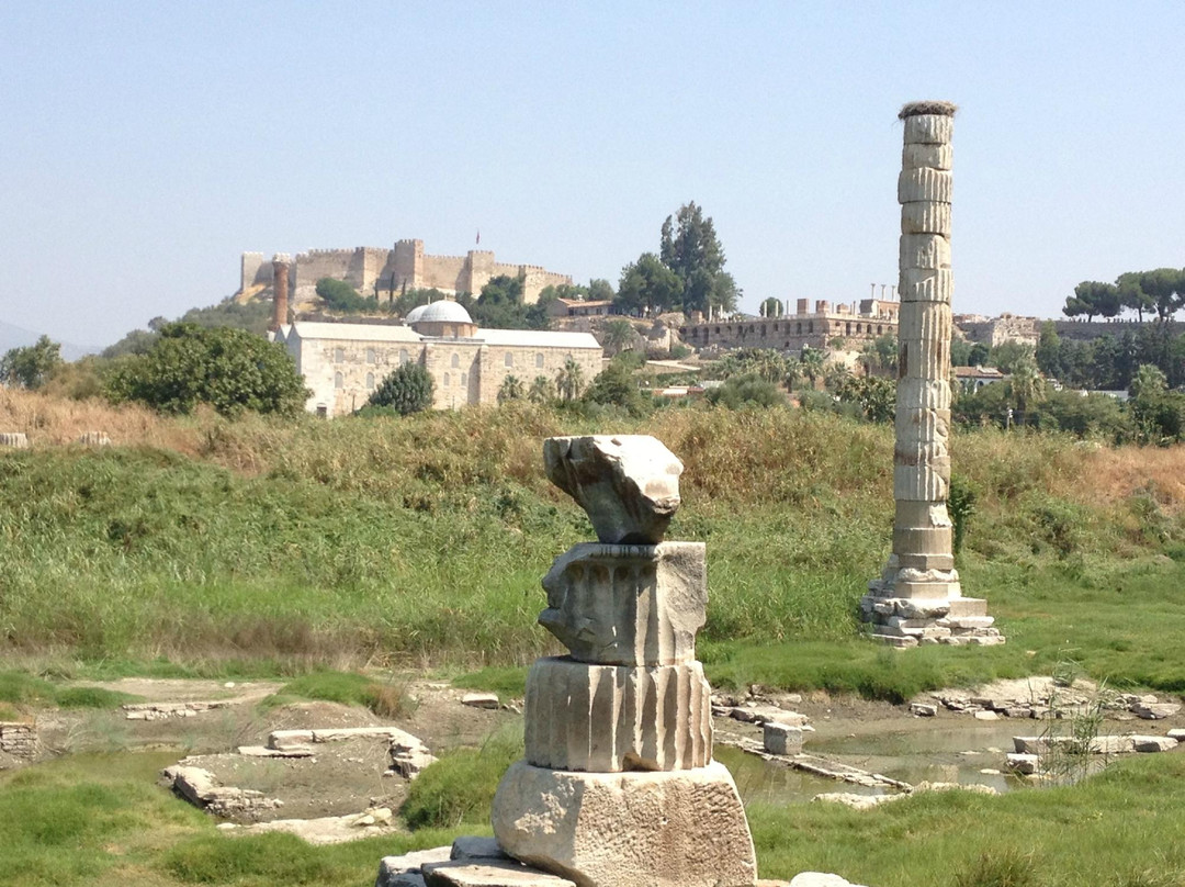The Temple of Artemis-塞尔丘克必去景点