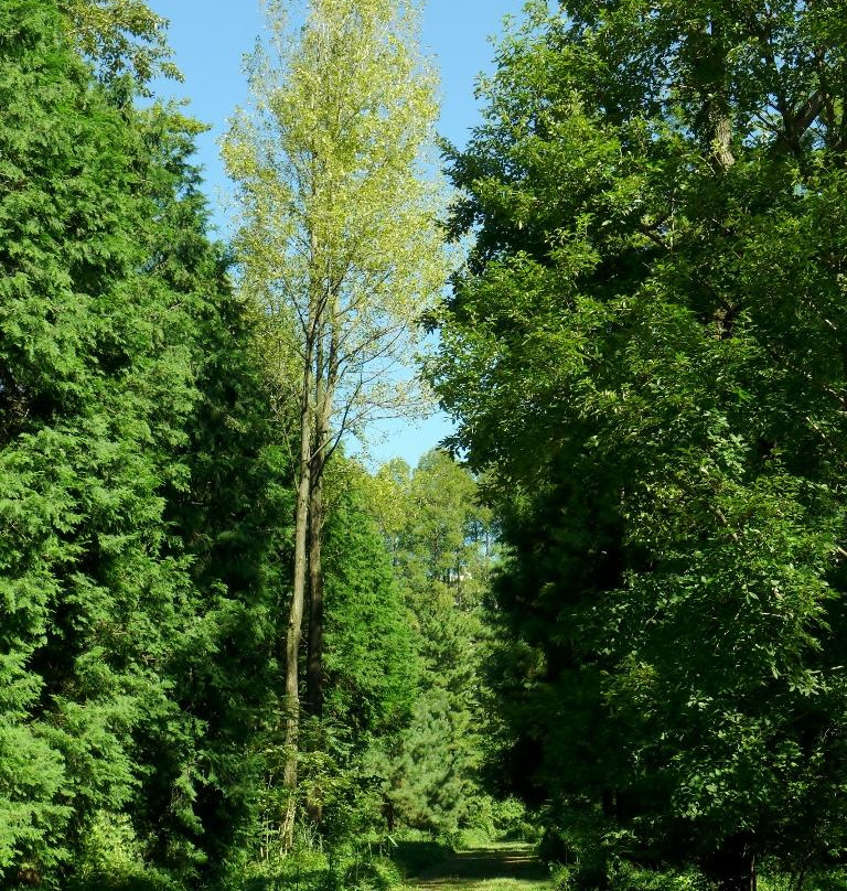 The University of Tokyo, Tanashi Forest-西东京市必去景点