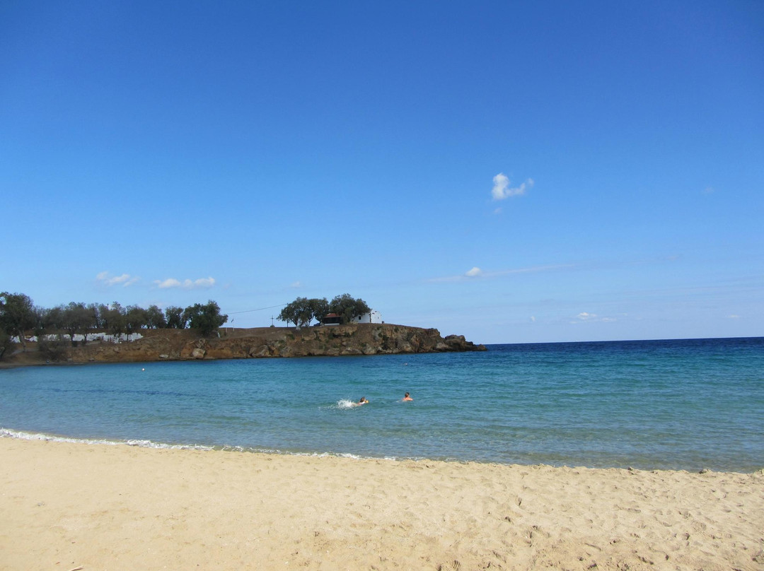 Iguana Beach景点图片
