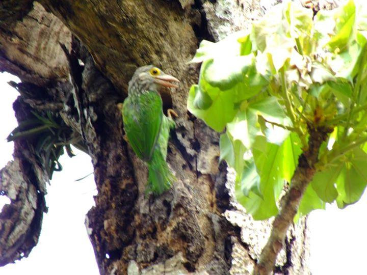Rema-Kalenga Wildlife Sanctuary-锡尔赫特必去景点