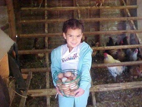 Prairie Wind Farm B&B主图