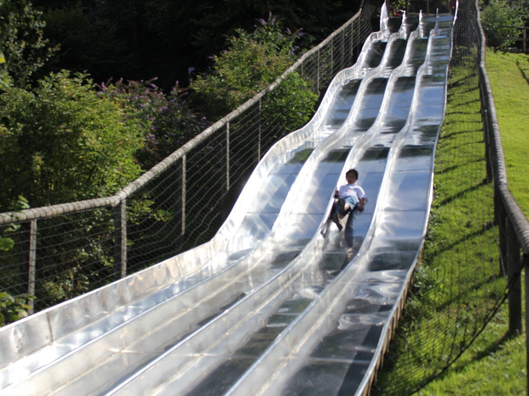 纽波特旅游景点-Robin Hill Adventure Park