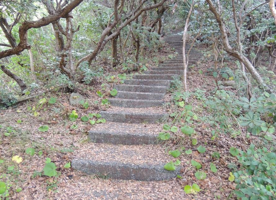 Usuebae Lookout-土佐清水市必去景点