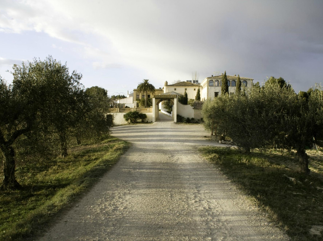 Can Ràfols dels Caus-Avinyonet del Penedes必去景点