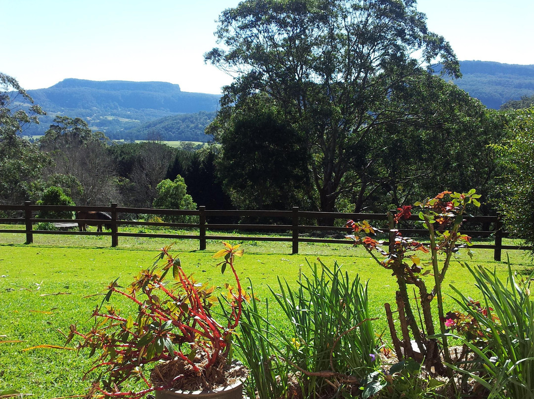 Karralika Springs B&B Mountain Retreat主图