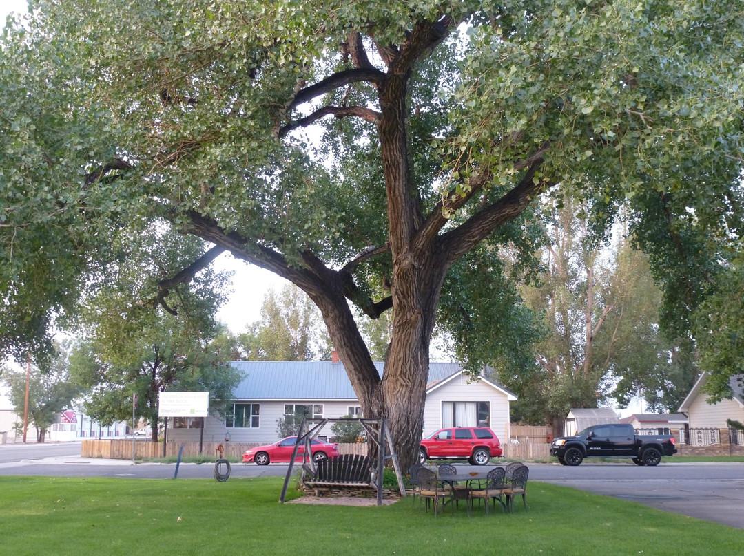 Greybull Motel主图