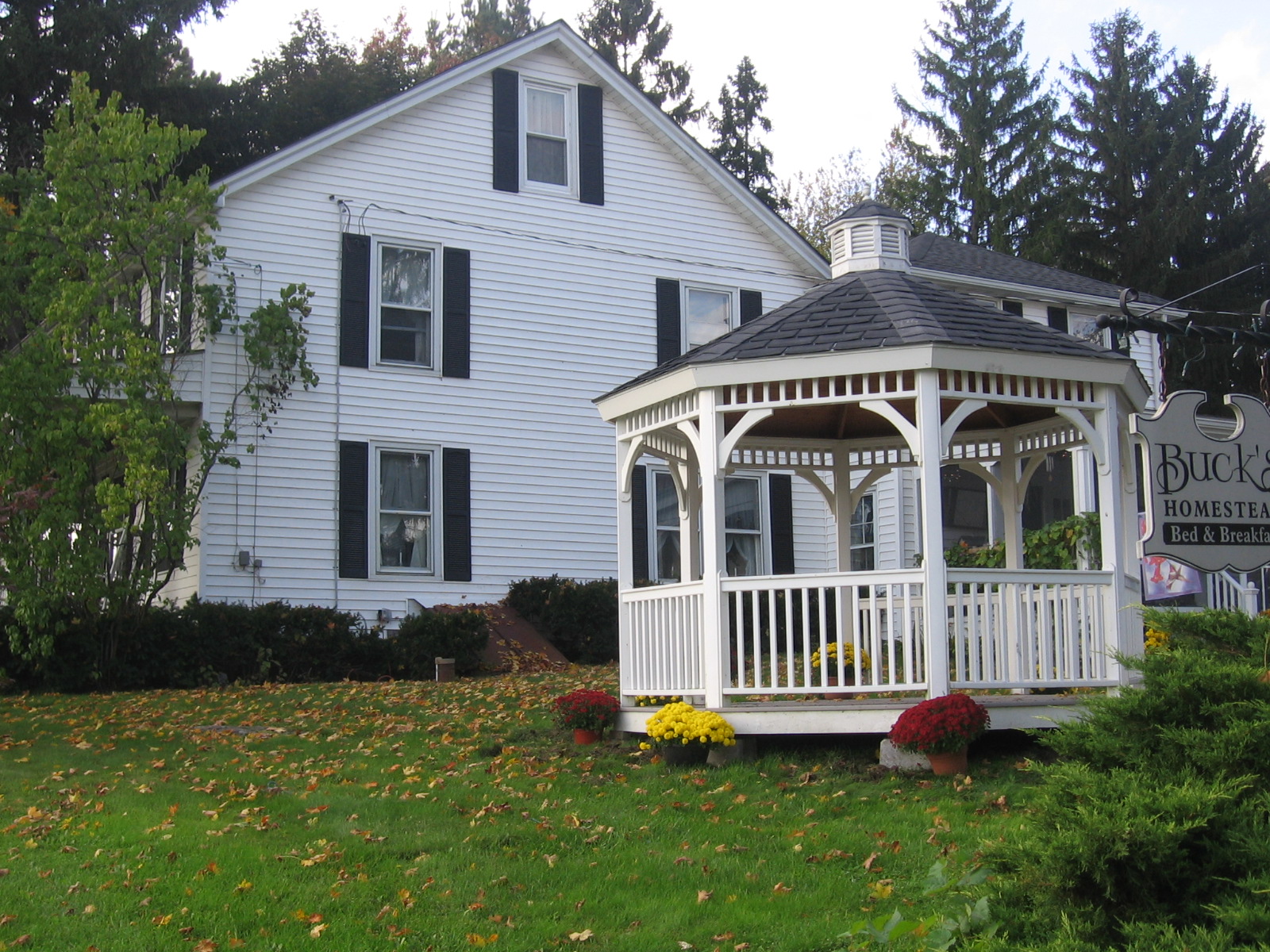 Buck's Homestead B&B-官方