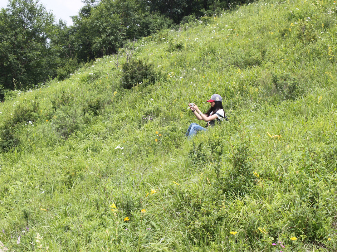 灵山自然风景区-北京市必去景点