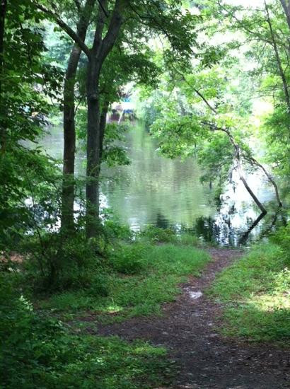 Colleton State Park景点图片