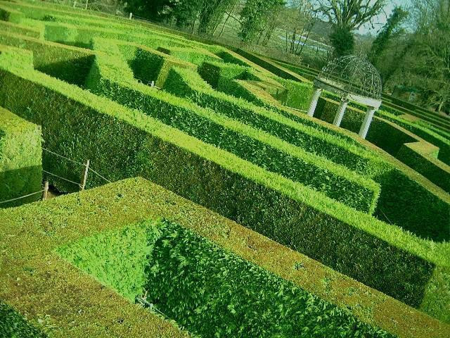 The aMazing Hedge Puzzle景点图片