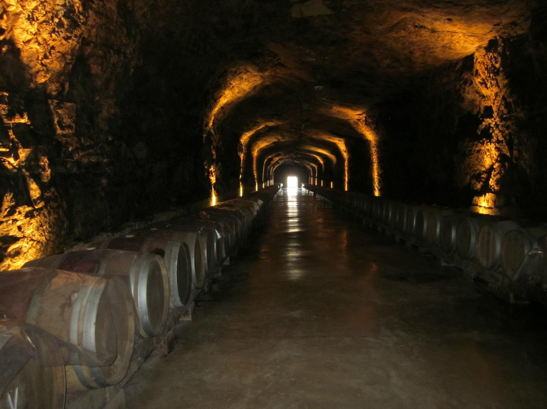 Bodegas Roda-哈罗必去景点