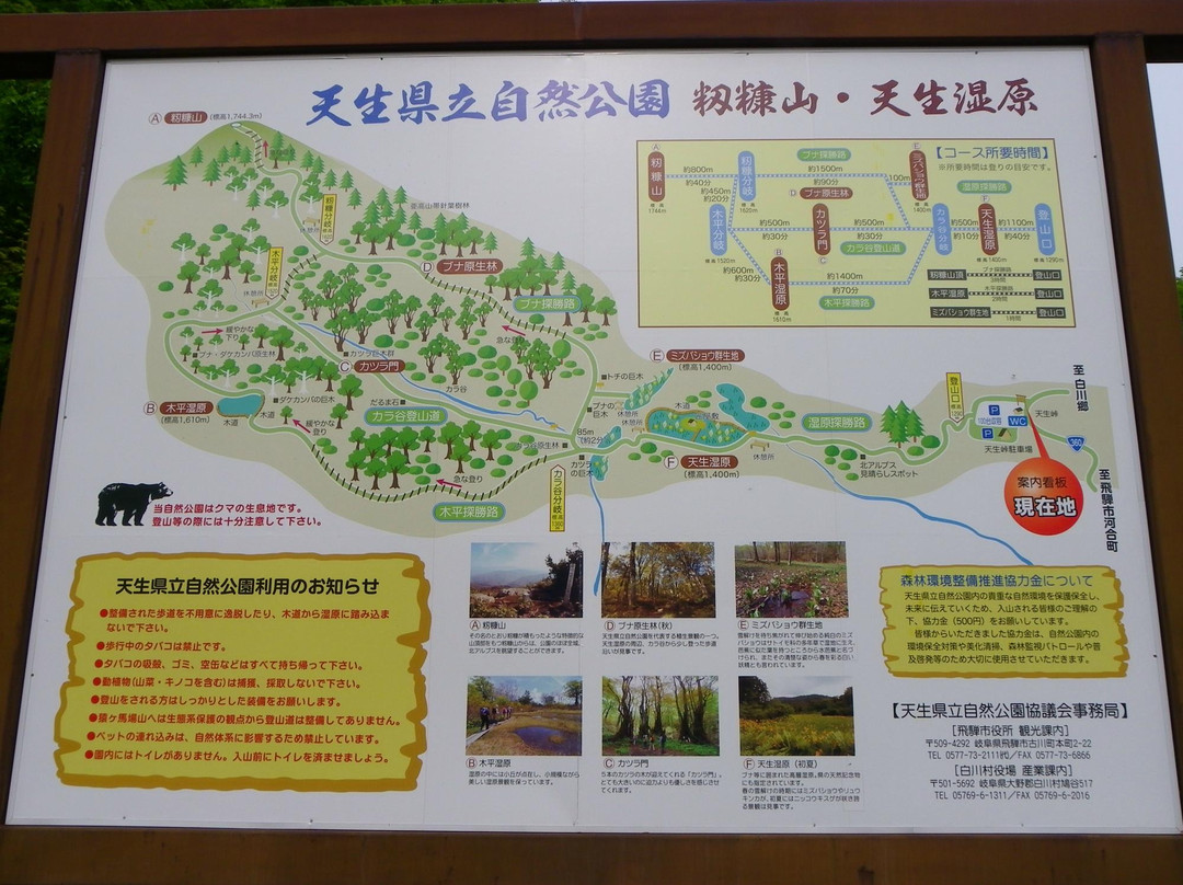 Amo Natural Park-飞弹市必去景点