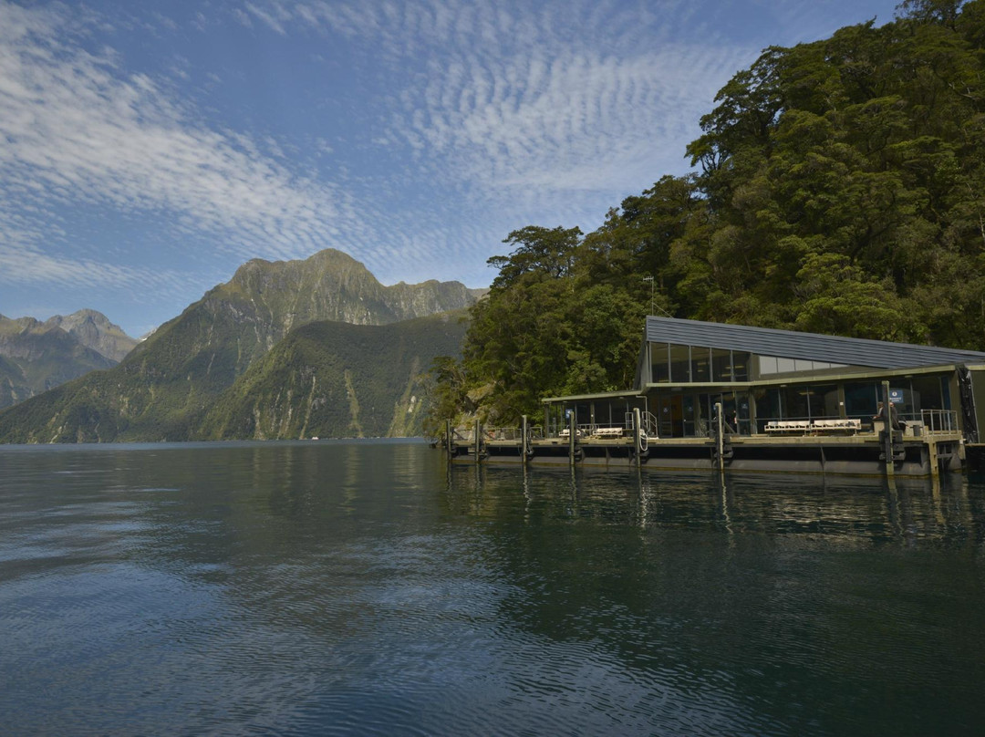 Southern Discoveries - Milford Sound Underwater Observatory景点图片