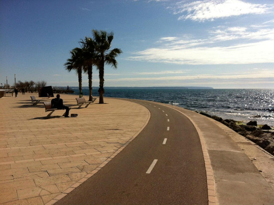 Palma Lock and Go-马洛卡帕尔马必去景点