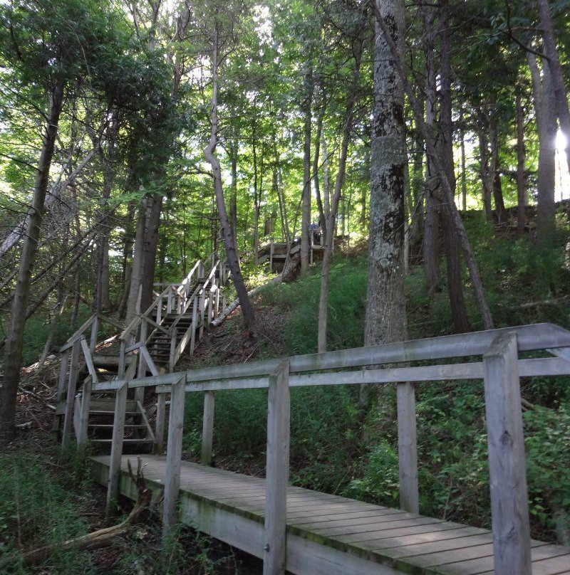 Point Farms Provincial Park景点图片