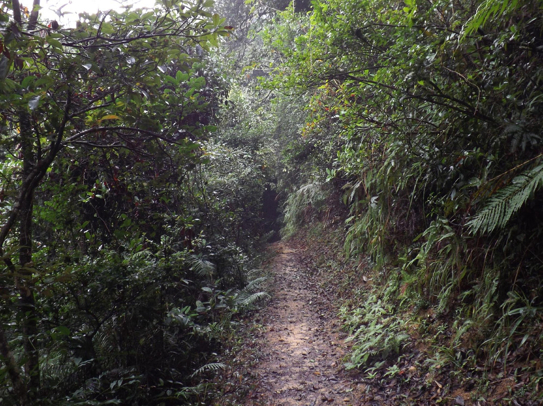 金山郊野公园-香港必去景点