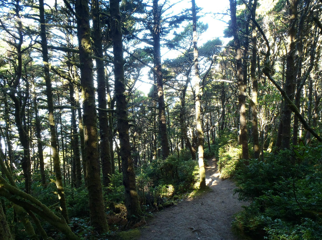 Hobbit Trail-弗洛伦斯必去景点