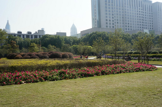 上海人民公园-上海市必去景点