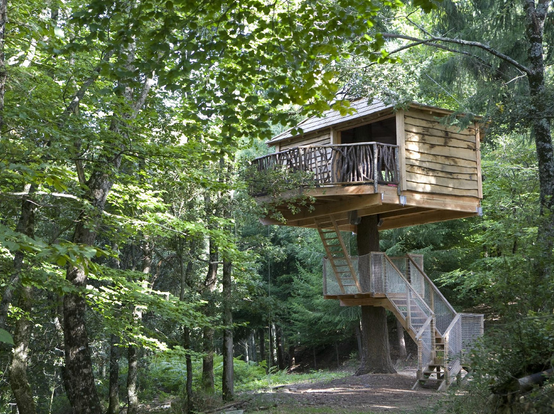 Cabanes als Arbres