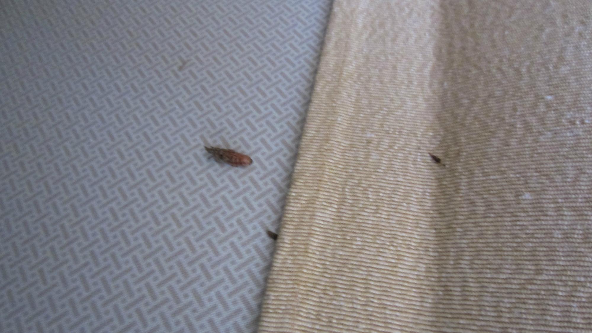 Hotel Saint Michel-客卧