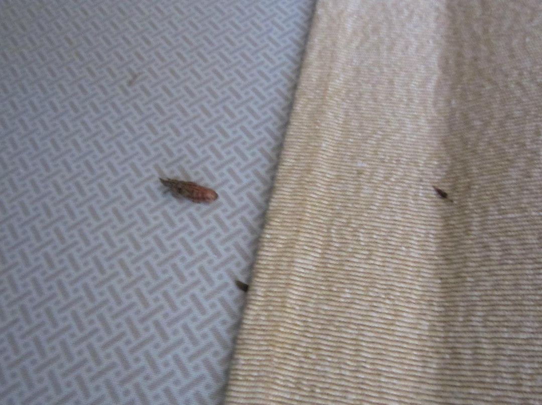 Hotel Saint Michel主图