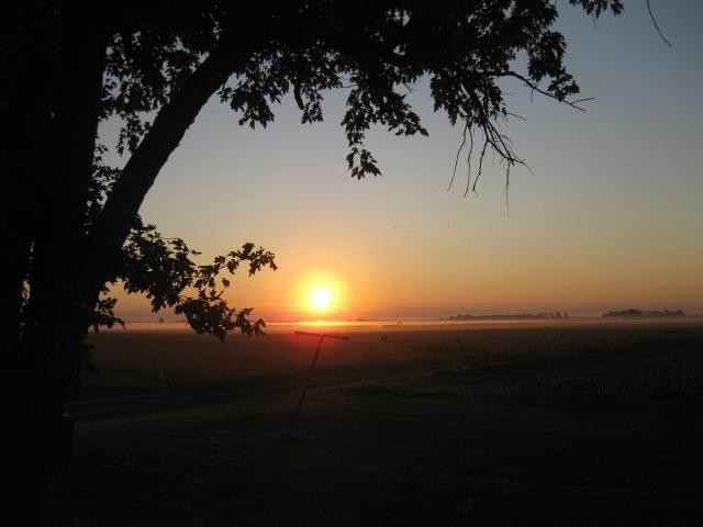 Crow Farmstay B&B主图