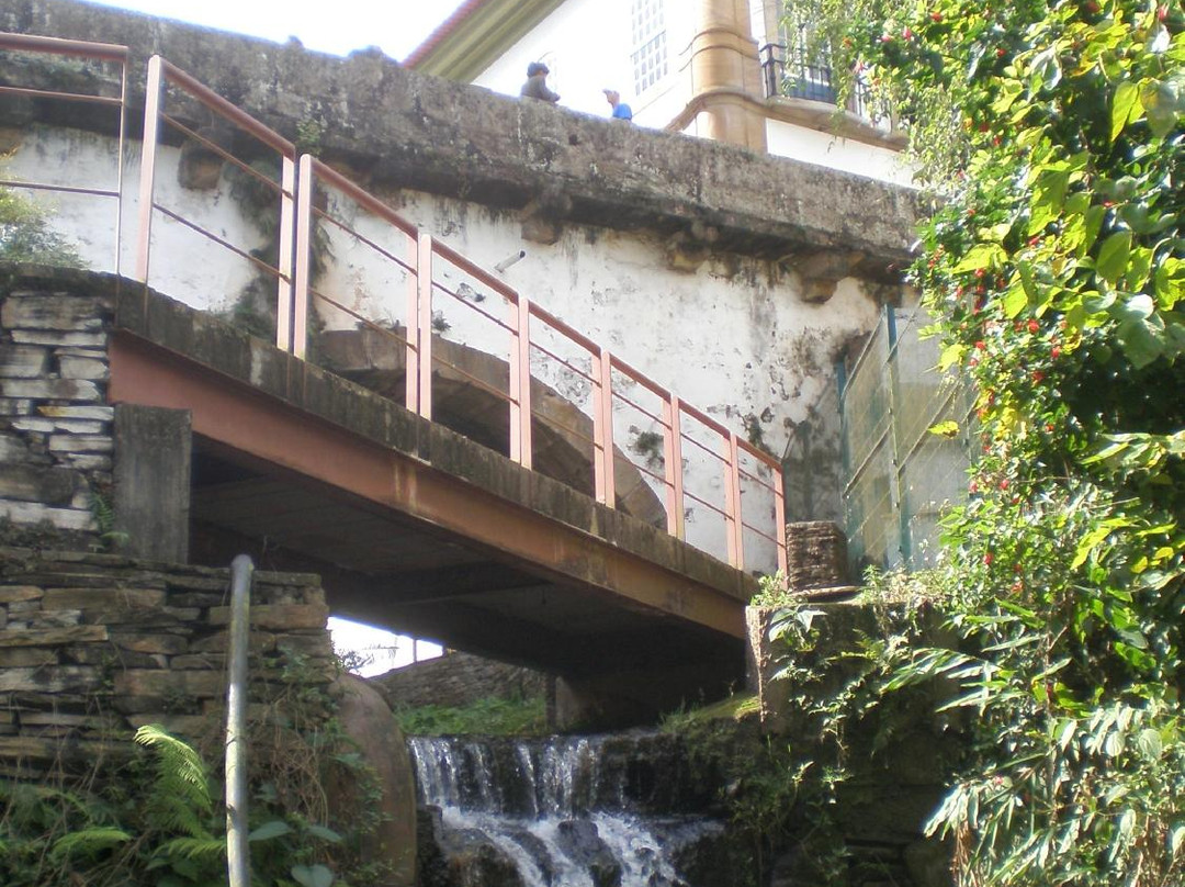 Estacao Ecologica do Tripui-欧鲁普雷图必去景点